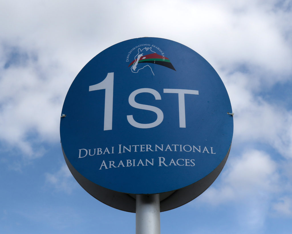 DUBAI INTERNATIONAL ARABIAN RACES PRIZE MONEY INCREASE ARO Racing